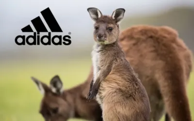 Adidas abandona couro de canguru em silêncio